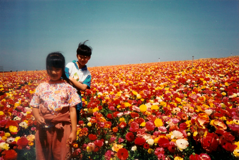 two children standing in a field of poppies of many colors
